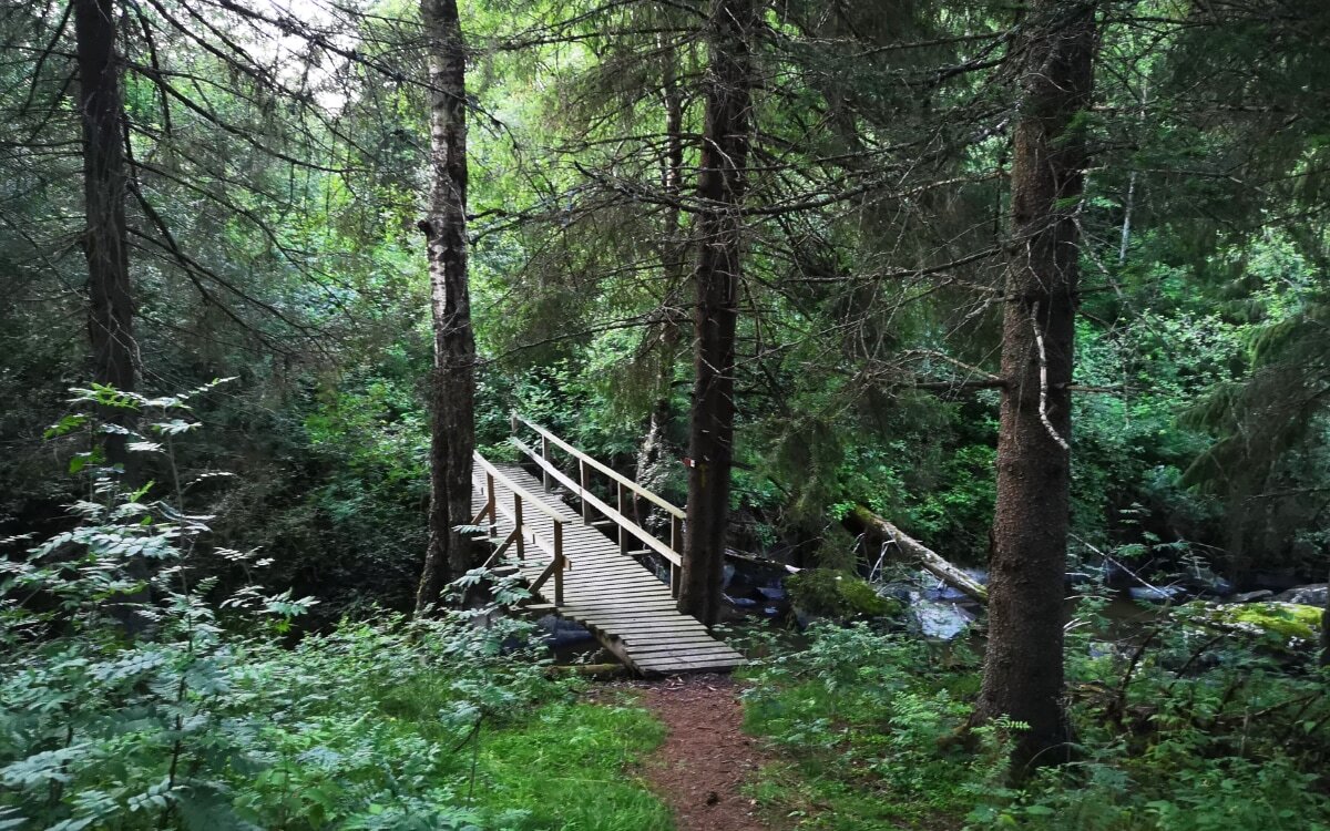 Pilegrimsleden over Venjar